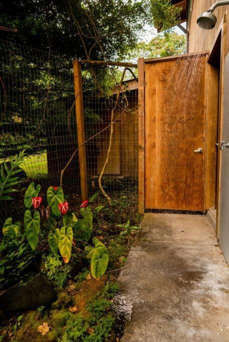 Jungle Haven Ocean Front Eco Villa On Fruit Farm Pahoa Exteriör bild