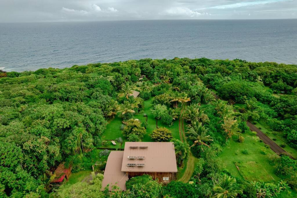 Jungle Haven Ocean Front Eco Villa On Fruit Farm Pahoa Exteriör bild