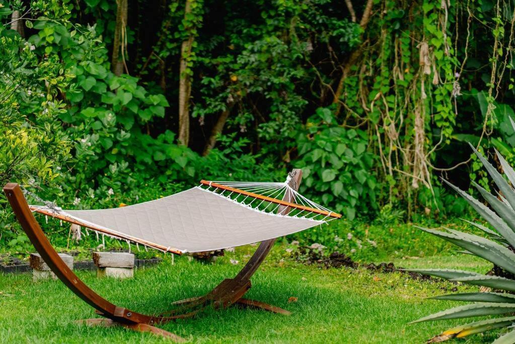 Jungle Haven Ocean Front Eco Villa On Fruit Farm Pahoa Exteriör bild