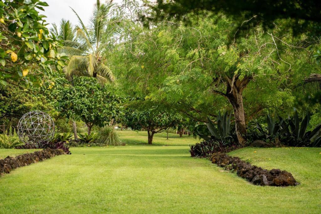 Jungle Haven Ocean Front Eco Villa On Fruit Farm Pahoa Exteriör bild
