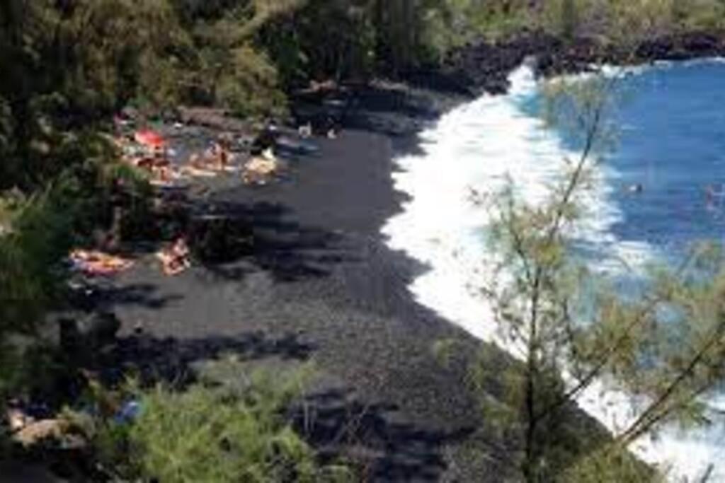 Jungle Haven Ocean Front Eco Villa On Fruit Farm Pahoa Exteriör bild