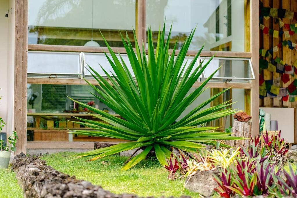 Jungle Haven Ocean Front Eco Villa On Fruit Farm Pahoa Exteriör bild