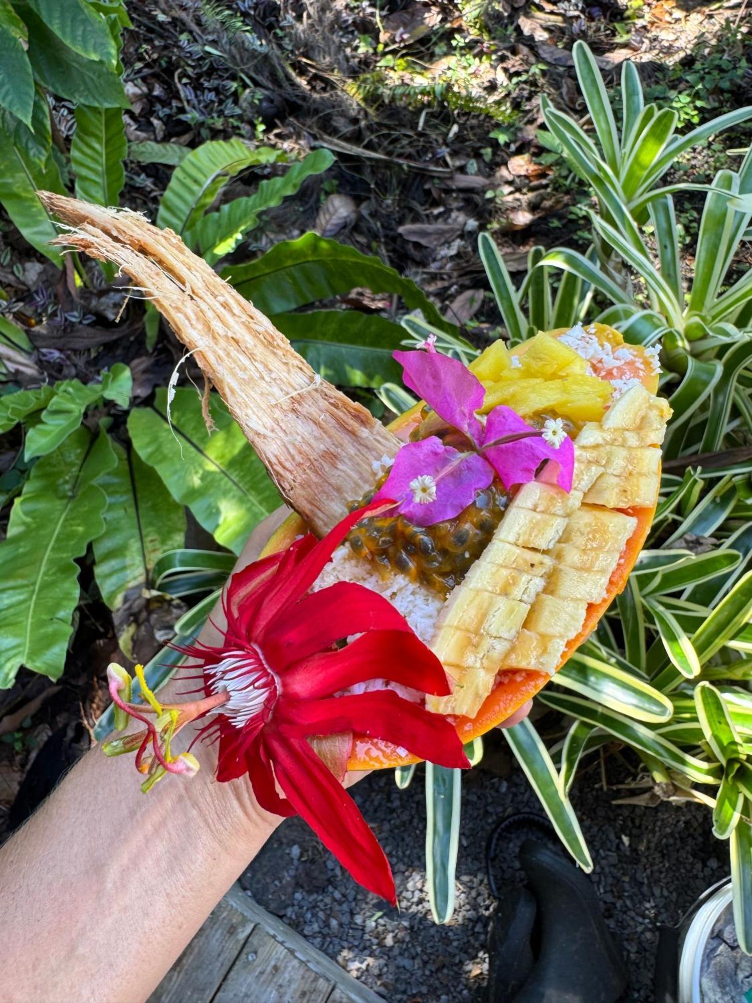 Jungle Haven Ocean Front Eco Villa On Fruit Farm Pahoa Exteriör bild