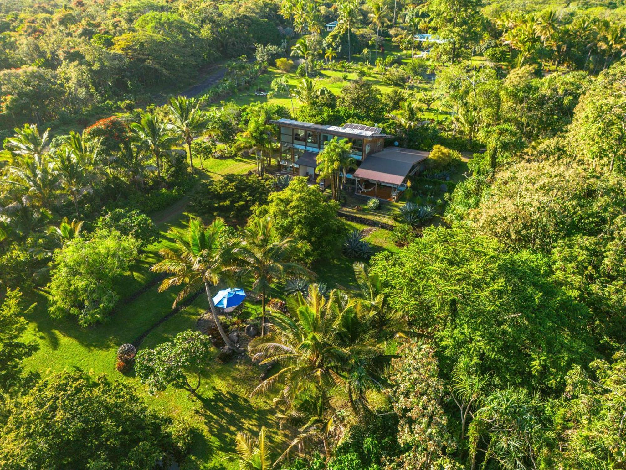 Jungle Haven Ocean Front Eco Villa On Fruit Farm Pahoa Exteriör bild
