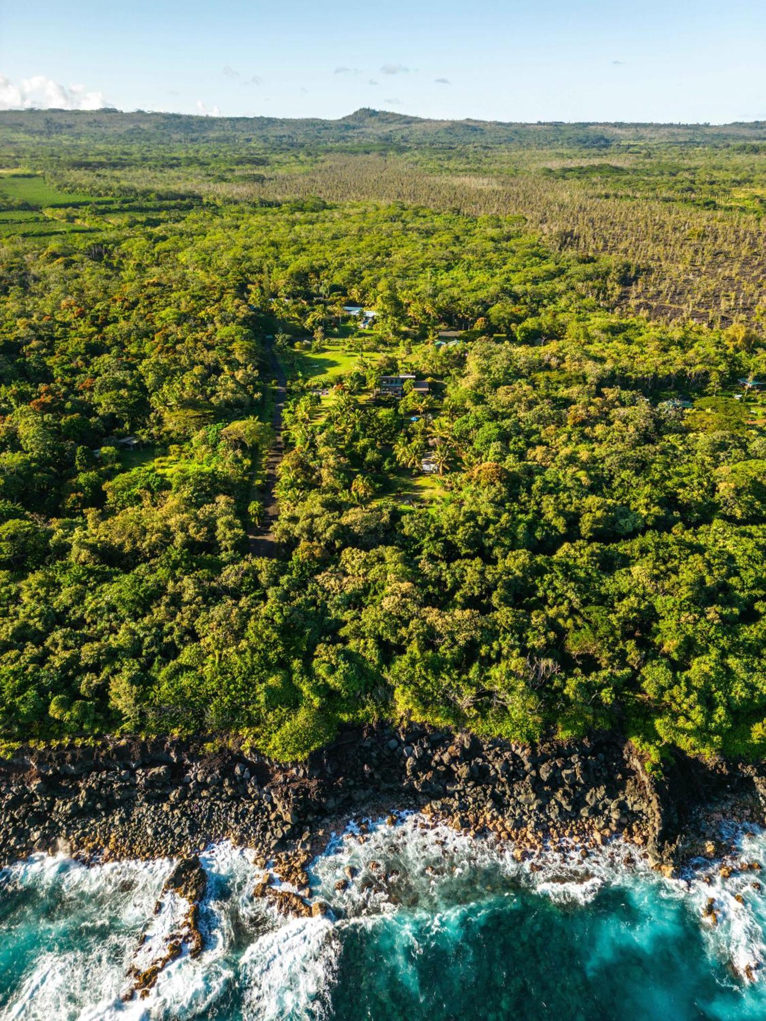 Jungle Haven Ocean Front Eco Villa On Fruit Farm Pahoa Exteriör bild