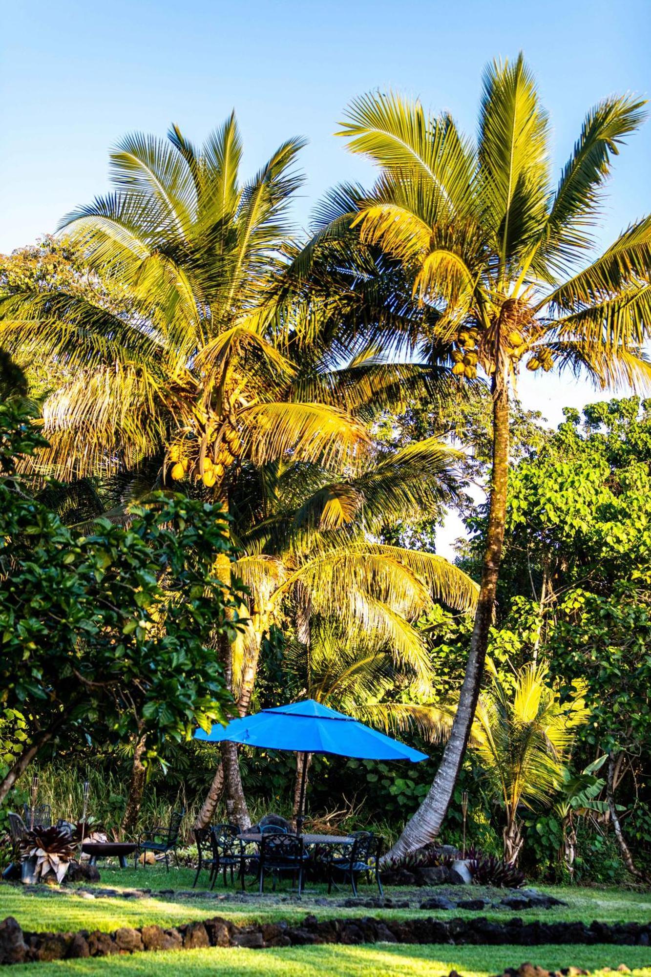 Jungle Haven Ocean Front Eco Villa On Fruit Farm Pahoa Exteriör bild