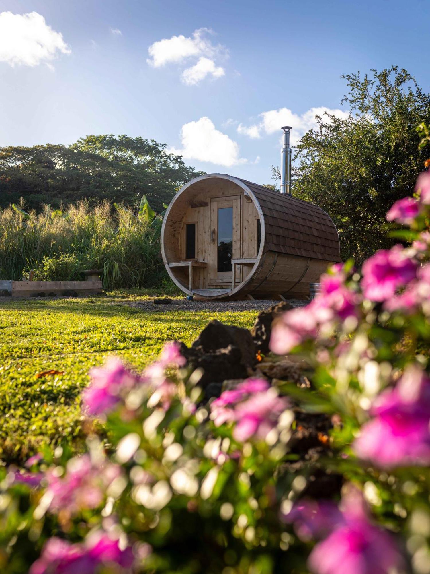 Jungle Haven Ocean Front Eco Villa On Fruit Farm Pahoa Exteriör bild