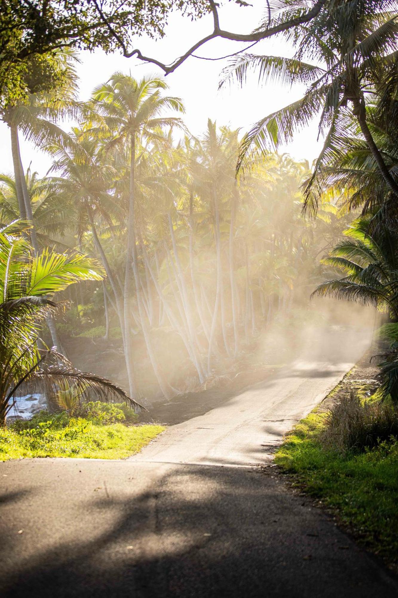 Jungle Haven Ocean Front Eco Villa On Fruit Farm Pahoa Exteriör bild